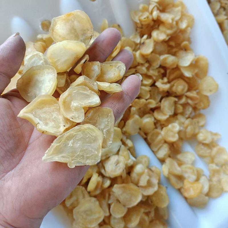草药附片蒸锅中药附子蒸锅高温高压附子蒸锅附片蒸锅