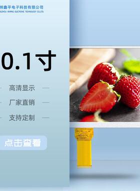 10.1寸 TFT液晶屏分辨率1024x600大尺寸LCD显示屏 40pin引脚彩色