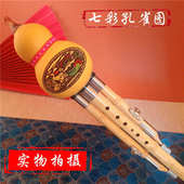 G调金竹葫芦丝 七彩孔雀天然楠竹三音葫芦丝教学演奏型C 降B调