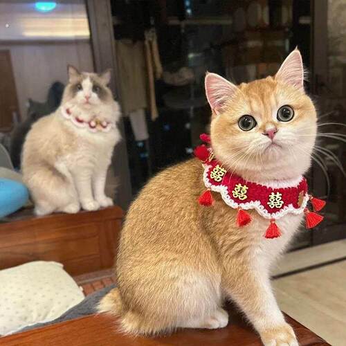 猫咪狗狗喜字围兜项圈针织口水巾结婚围脖装饰品宠物婚礼陪嫁装扮