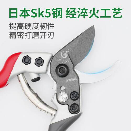 蟾虫827 果树修树枝剪剪果枝树枝剪园艺修花剪园林省力修剪粗枝剪