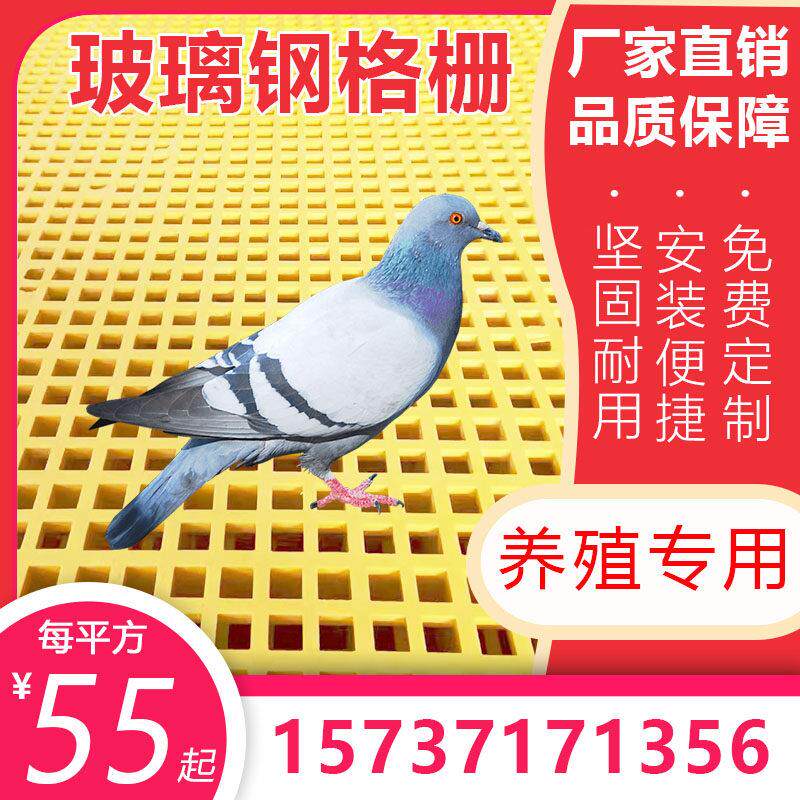 玻璃钢格栅洗车房地格栅污水处理盖板树池篦子鸽舍地网光伏走道板