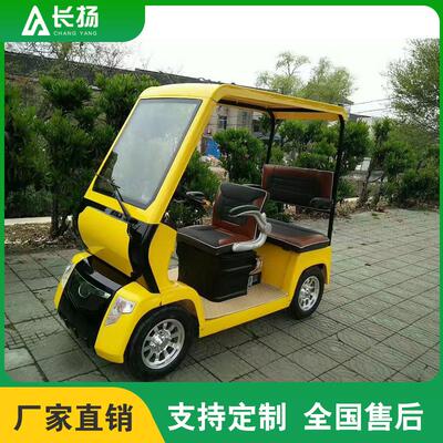 小巴士电动四轮车老年代步车双人座景区观光车