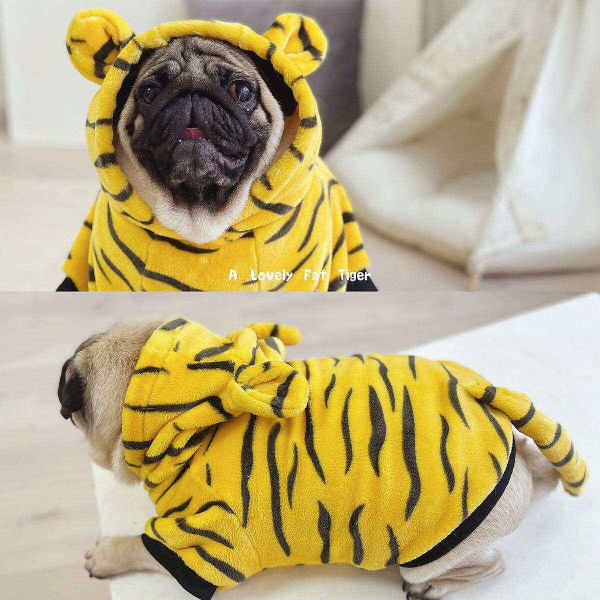 爆款老虎新年装 猫咪变身老虎装 保暖法斗柴犬柯基大中犬服装大码