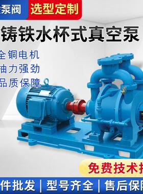 供应水环式真空泵SK铸铁水环式真空泵