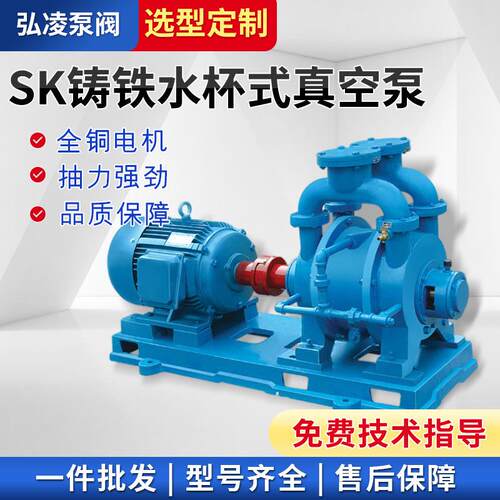 供应水环式真空泵SK铸铁水环式真空泵