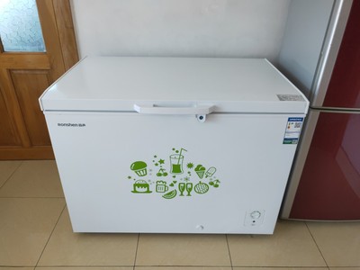 客观分析容声BD/BC-309MD冰柜怎么样，好不好用最新评价是