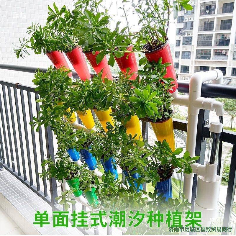 鱼菜设备水培系统阳台全套无土栽培种植花园家庭挂壁架共生蔬菜小