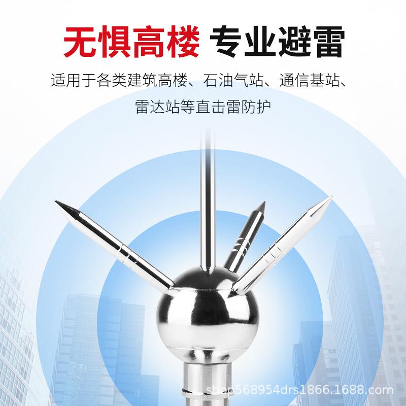 铜质避雷针家用别墅屋顶IMO室外工程接地接地棒防雷针户线辟雷闪