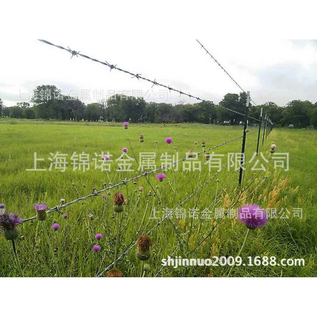 304不锈钢刀片刺网监狱防护各种规格刀片刺网镀锌刀片刺网