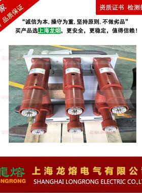 高压中固封式真负荷开关VZ(R)-12真VZP-12F空空负荷开关置上海P电