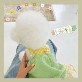 小狗狗衣服薄款春秋装夏季宠物小型幼犬泰迪猫咪比熊博美吊带裙