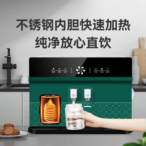 新智能语音净体水器家款用直饮加热666一机r挂o反渗透壁式净饮一
