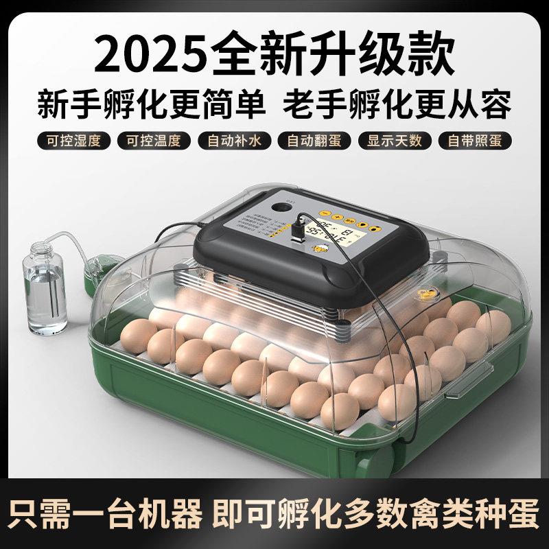 威振孵化器小型家用迷你孵蛋器全自动智能孵化机芦丁鸡鸟蛋孵化箱