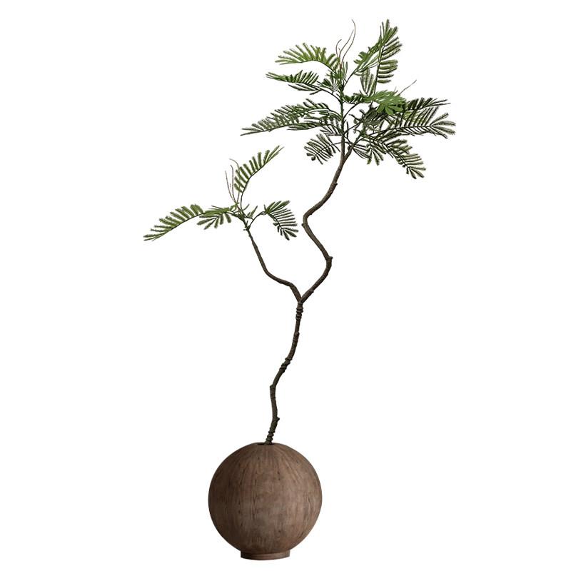彷真绿植侘寂风落地猴耳环干枝盆栽室内彷生植物景观装饰中古摆件