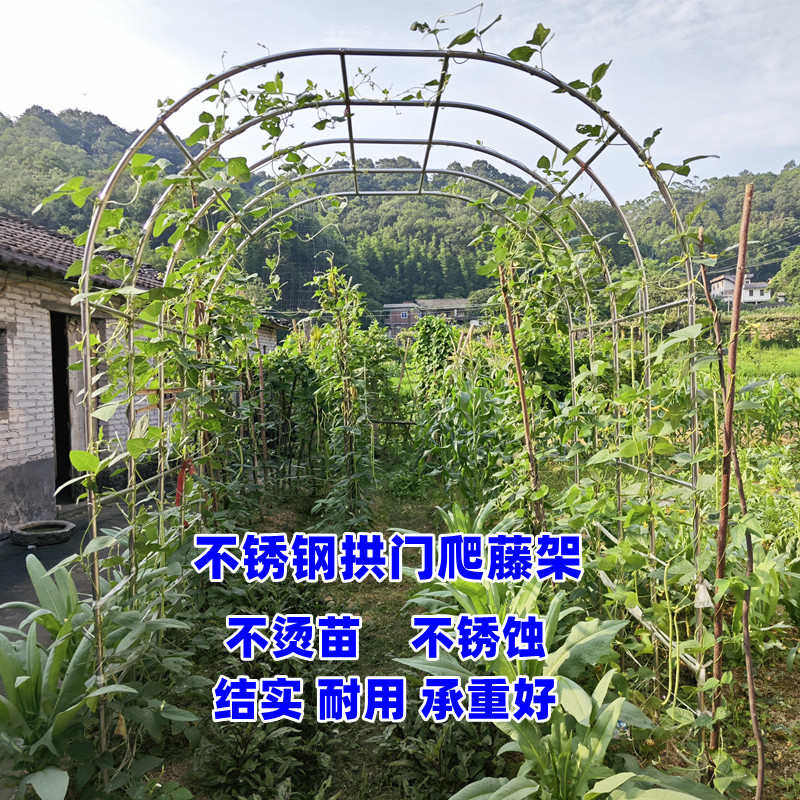 拱门花架爬藤架不锈钢拱形葡萄架月季爬藤架花园户外庭院菜棚支架