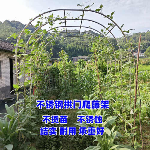 拱门花架爬藤架不锈钢拱形葡萄架月季爬藤架花园户外庭院菜棚支架