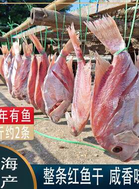 红鱼干 干干 干货深海海鱼干 干整条现晒咸鱼北海特产湛江海南儋