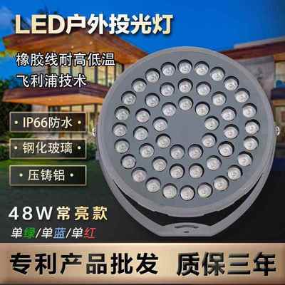 48wLED单色投光灯防水户外照树灯插地灯别墅草坪亮化灯超亮