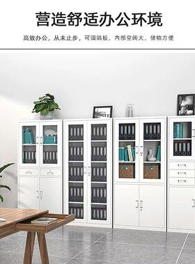 钢制文件柜办室档皮案柜资FT-35164料公凭证收纳铁柜矮柜柜带锁储