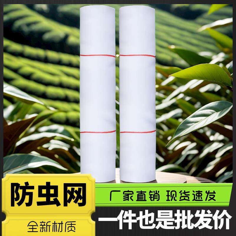 种菜防虫网种菜 农用防虫网农用蔬菜防虫网大棚地种菜专用网 纱网