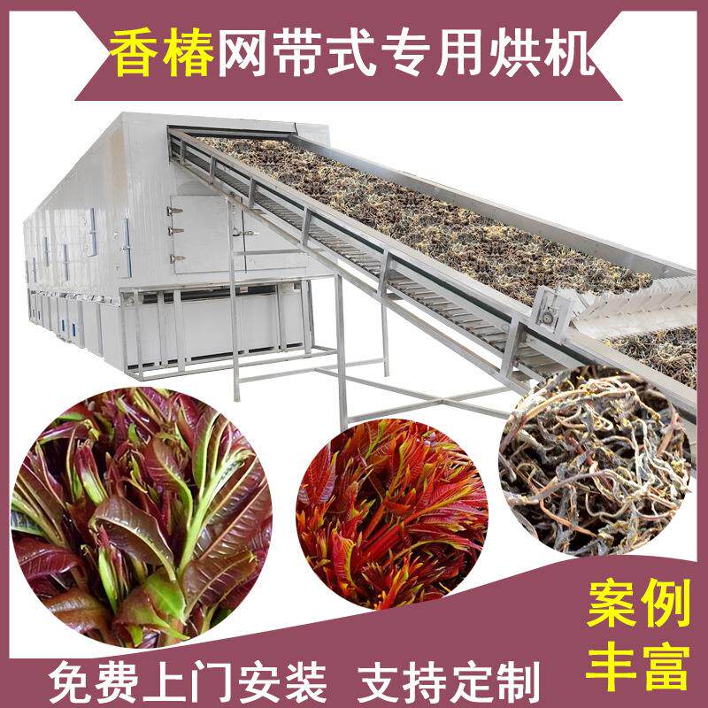 网带式香椿烘干机香椿芽酱菜香椿铃智能控温烘干房香椿子风干机
