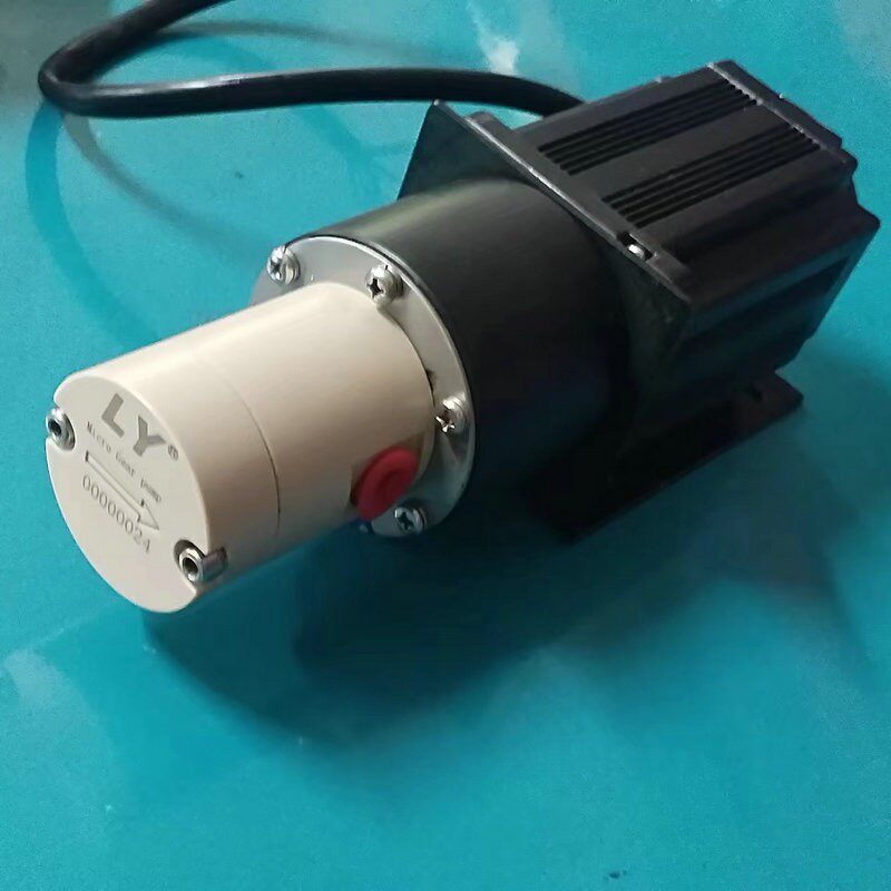 供应小型磁力齿轮泵微型齿轮泵12v24v不锈钢磁驱动齿轮泵316泵体