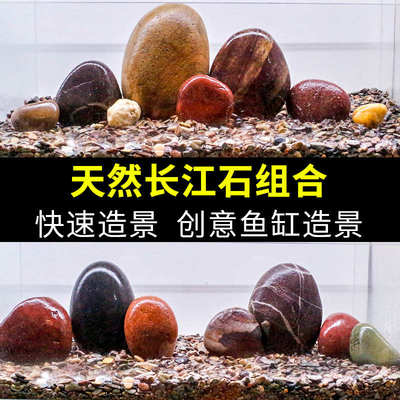 鱼缸造景天然长江石溪流石全套装饰观赏石头乌龟缸晒台水族箱石头