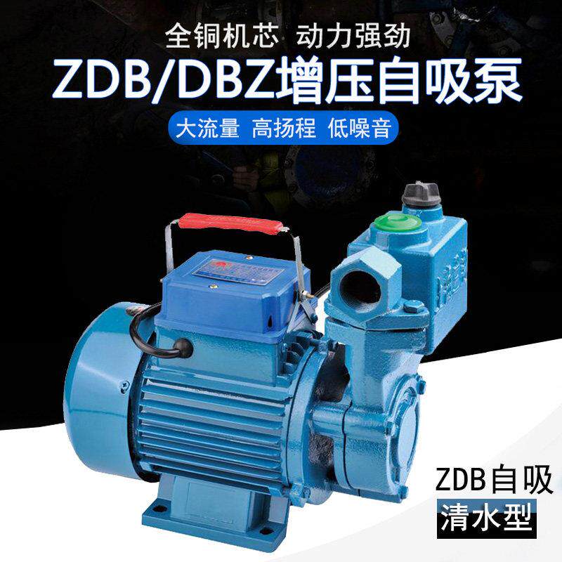兰翔ZDB/DBZ清水型自吸泵家用压水井220v自来水管道抽水泵增压泵