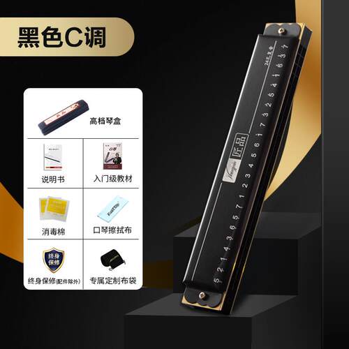 正品东荐方鼎24孔复音口琴C正初学者入门调品推成人学生用演奏