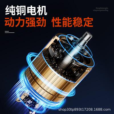 便携式电动葫芦100kg遥控微型起吊机家用提成机25米厂家直销