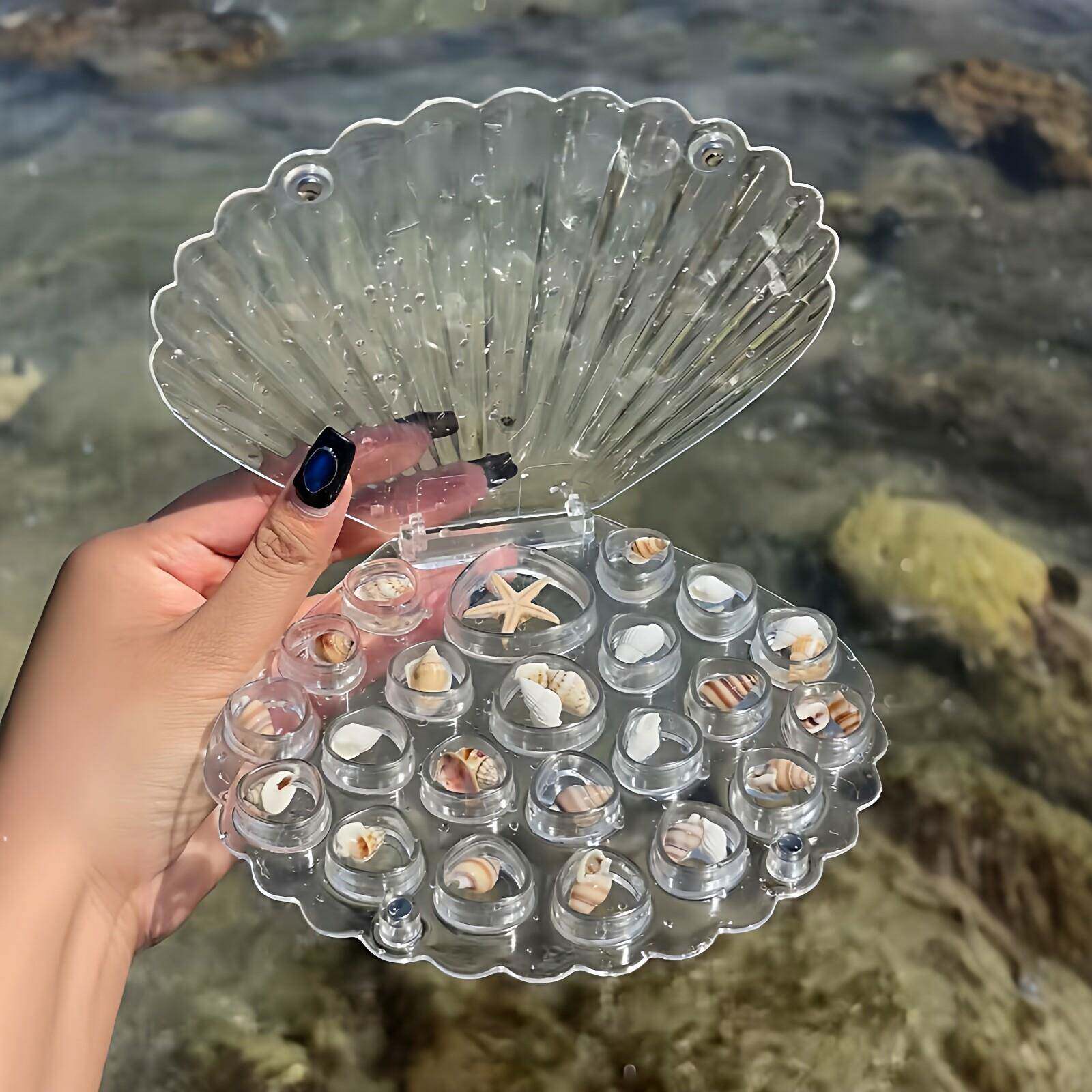 贝壳收纳盒海螺磁吸高透戒指首饰盒居家展示盒小清新旅行伴手礼盒