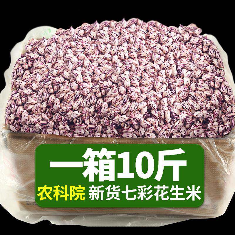 2024新货云南七彩花生米孟连特产新鲜晒干 干去壳野地彩色花生种