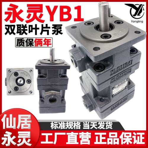 仙居永灵液压双联叶片泵YB1-2.5-10/2.5-10油泵YB1-65-100/32-50/ - 封面