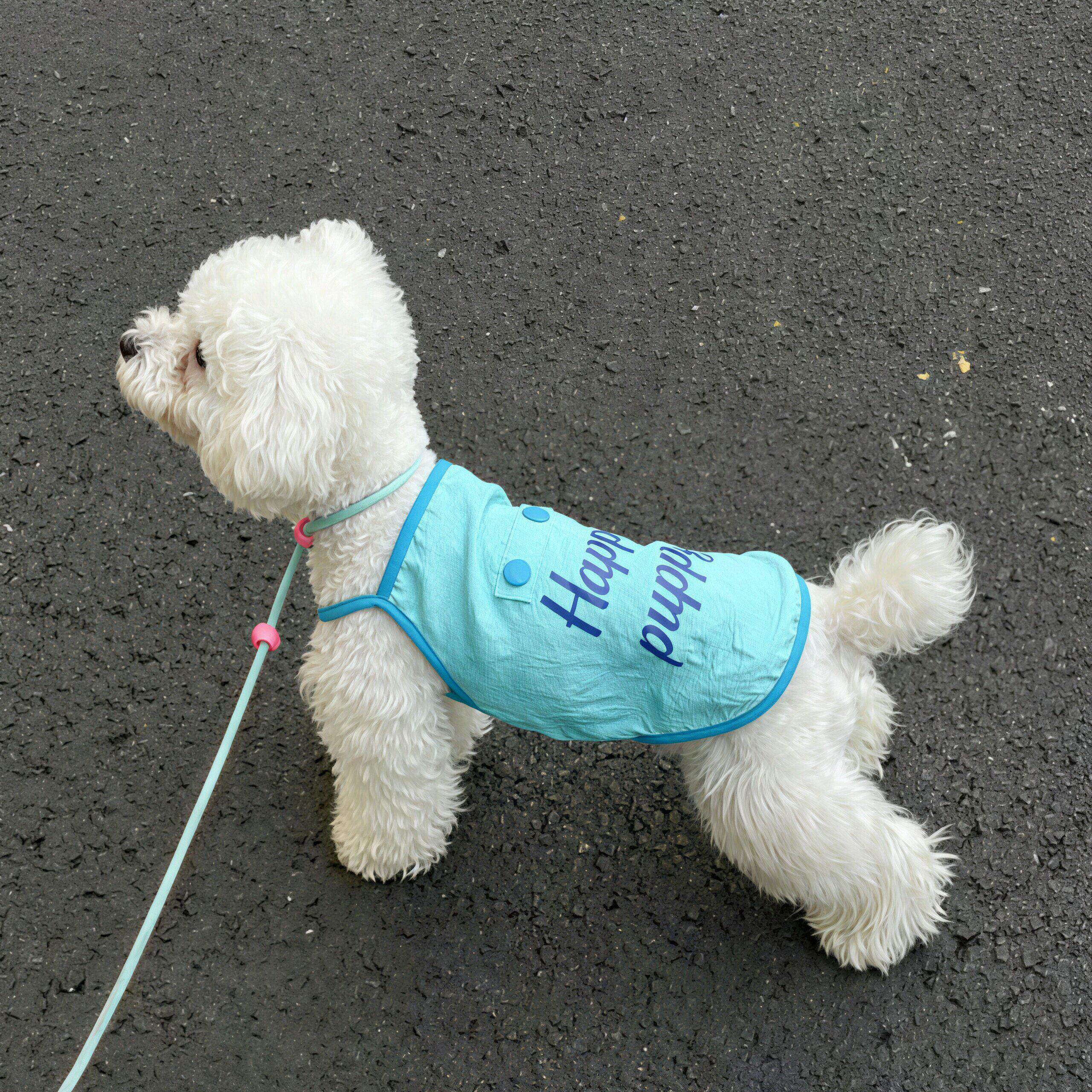 宠物狗狗衣服夏季薄款小型犬柴犬背心猫咪吊带透气防掉毛2026新款