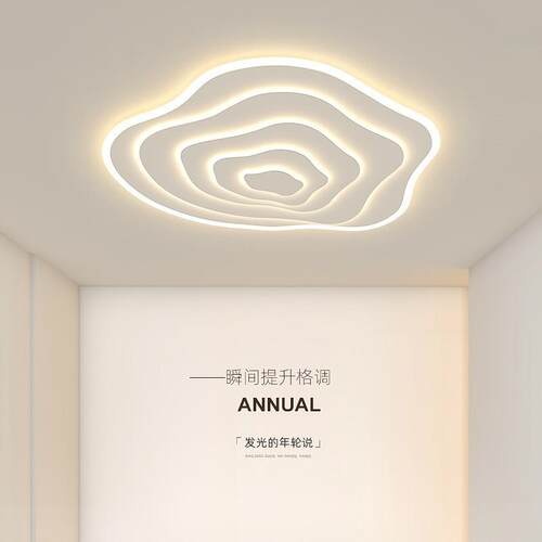 家客厅吸顶灯现代简约灯用大主卧气室设计感年489轮温馨大厅中山