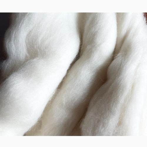 毛纺原料羊毛羊绒80/90支澳毛条羊毛精短毛