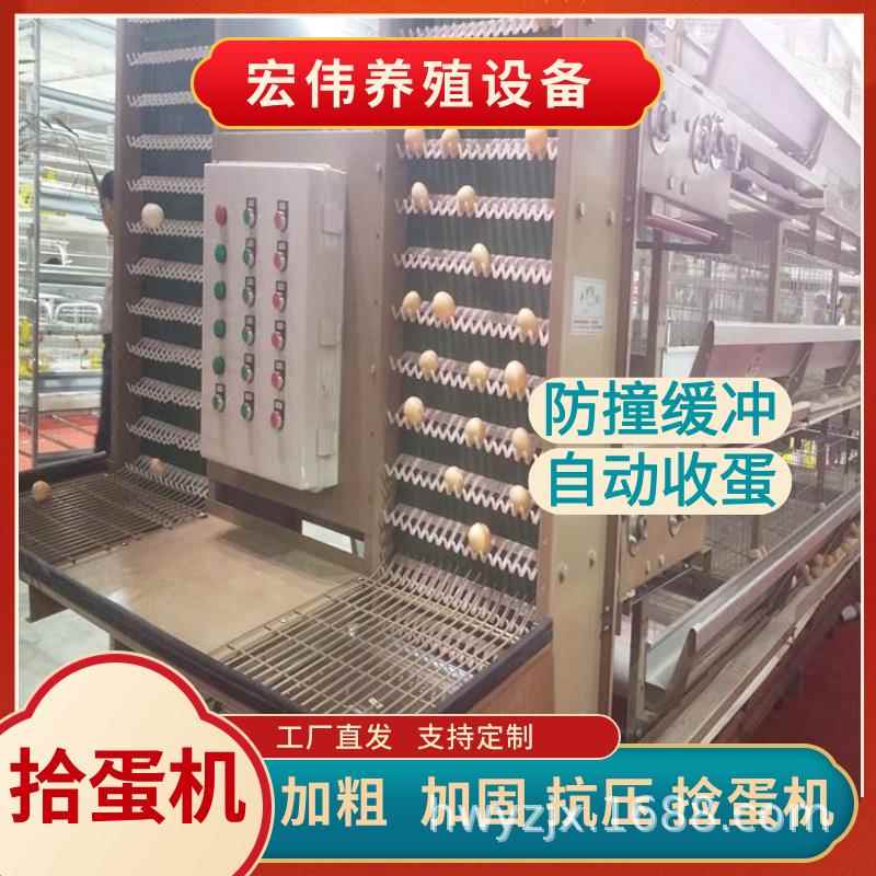一体化养殖设备养殖设备鸡舍自动化捡蛋设备