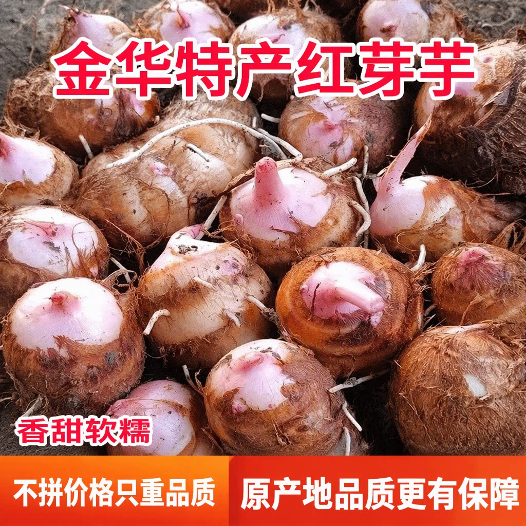 金华红芽芋头2026年新芋新鲜芋艿原产地带泥小香芋农家软糯蔬菜