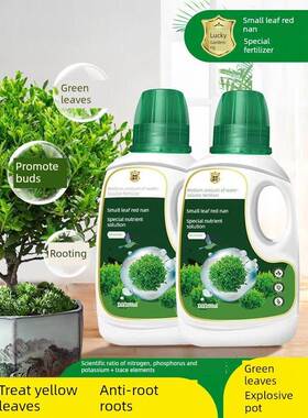 小叶赤楠营养液花肥小叶赤楠肥料专用肥防黄叶掉落金丝楠木水溶肥