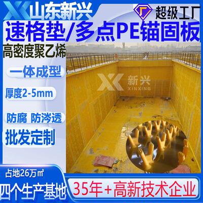 锚固板污水池HDPE聚乙烯多点速格垫耐腐蚀混凝土管道聚乙烯锚固板