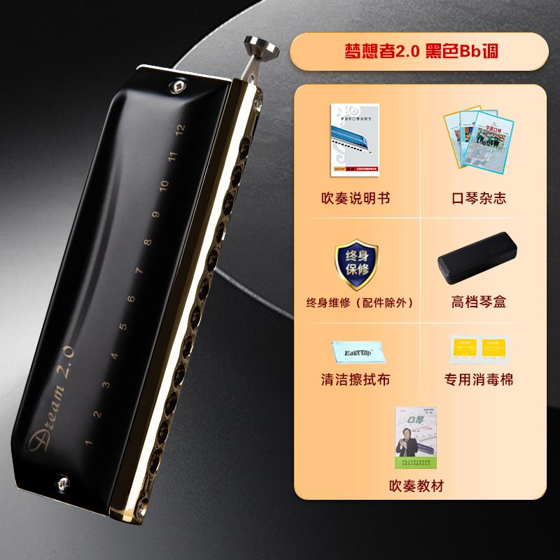 高档EASTTOP东鼎半阶口方琴音专业演奏12初孔c调入门学生学梦想者