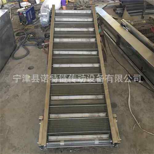 果蔬气泡清输洗干网带送机LWO食冷冻肉隧道线不锈钢网链输送机烘