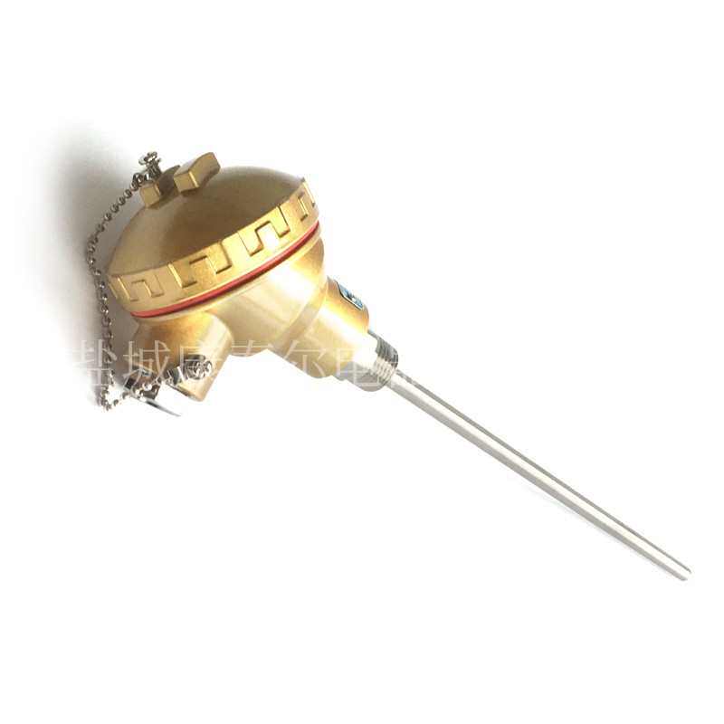 热电偶\K型单芯 L=200陶瓷 Φ8 直插式 防水型/304 I级