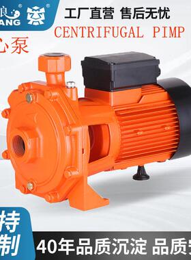 定制跨境cpm离心泵cs自吸压抽水器PUN地暖循环管道农用浇灌水泵
