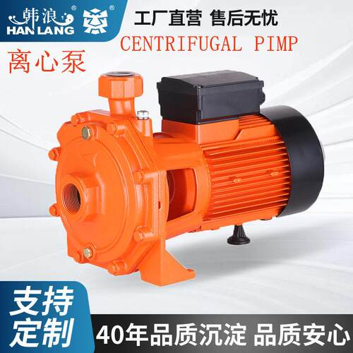 定制跨境cpm离心泵cs自吸压抽水器PUN地暖循环管道农用浇灌水泵
