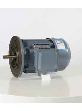 摆线减速机专用电机(YS71--100 )1#