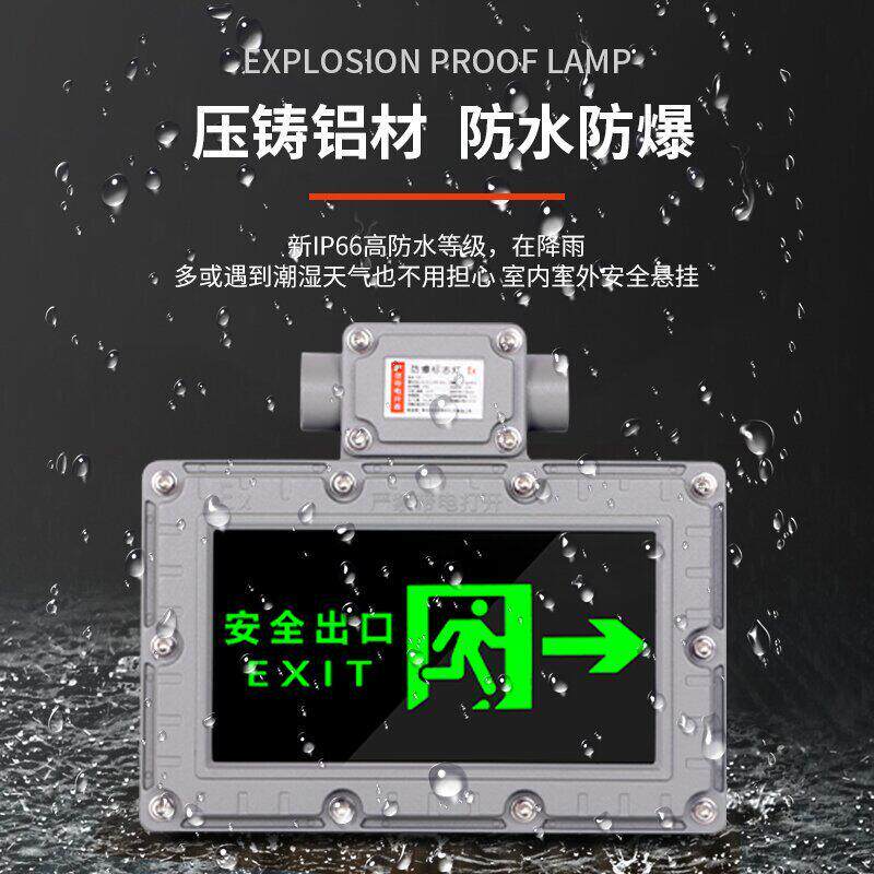 防爆双头紧急照明灯低压防爆12v24v36vled消防照明安全出口疏散指