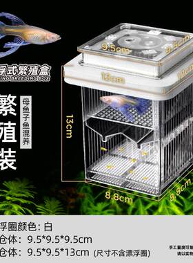 网箱保护鱼缸隔离网盒繁殖饲养孵化鱼缸繁殖隔离盒热带鱼分离密网