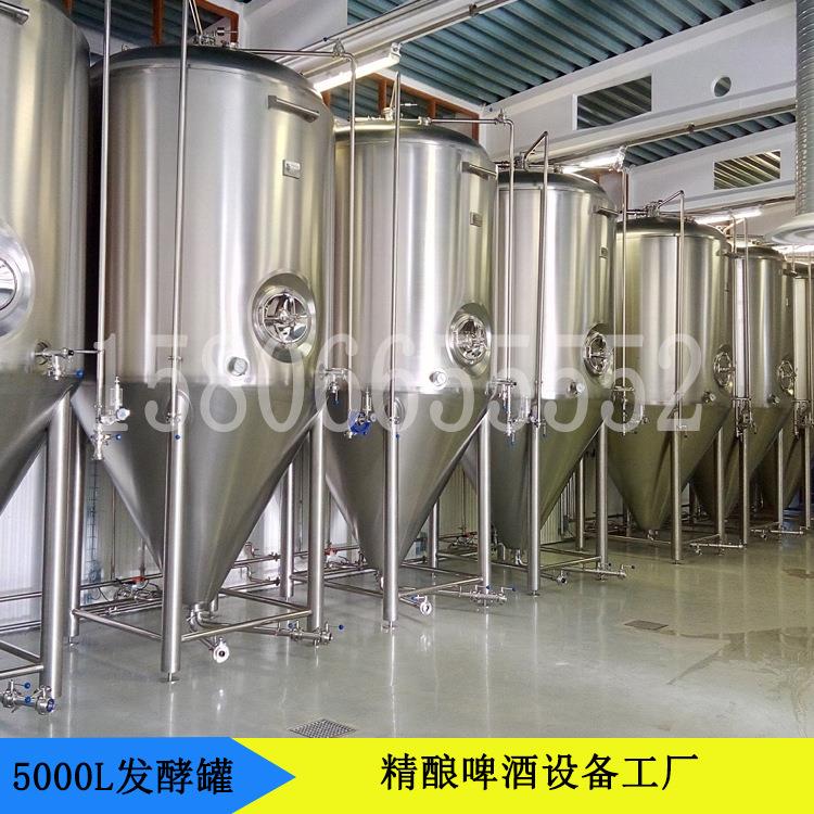 机械厂家供应精酿啤酒设备小型酿酒设备家用扎啤机发酵罐